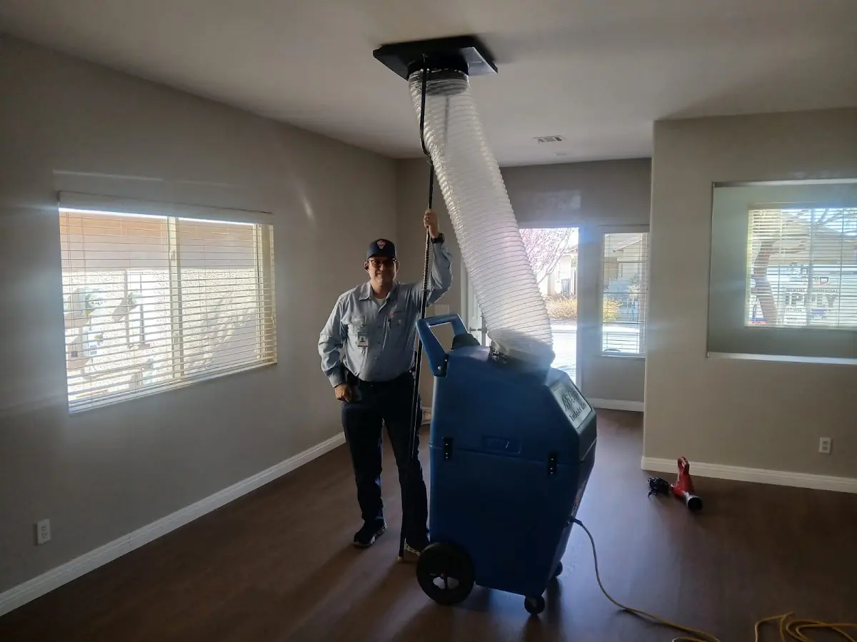 Professional Dryer Vent Cleaning work inside a Benton Park home
